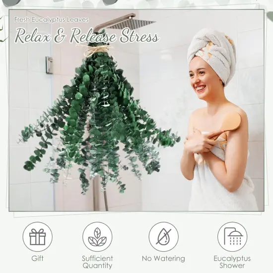 80 Pcs Large Dried Eucalyptus Stems 17inch Natural Real Fresh Eucalyptus Branches for Shower Hanging Fresh Plant Greenery Leaves for Wedding Bathroom Vase Filler DIY Garland Decor {2}