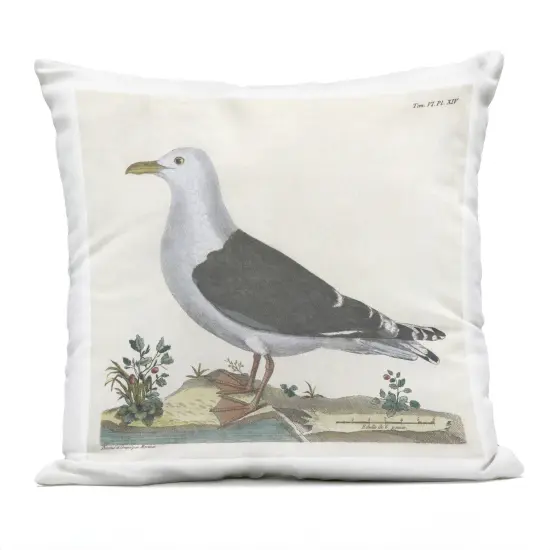 Stupell Industries Vintage Seagull Study Diagram Outdoor Printed Pillow design by Phillipa Katz, 18 x 7 x 18 {1}