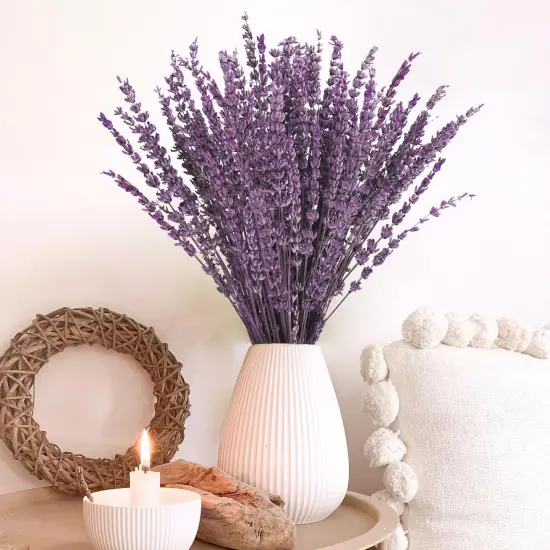 Dried Lavender Flowers, 16" Dried Lavender Bundles Dried Purple Preserved Lavender Bouquet for Shower Weeding Home Fragrance Vase Crafts Decor, 50g (1.76oz) {3}
