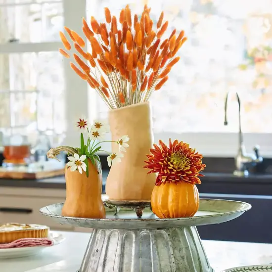 120pcs Dried Bunny Tails Flowers Orange Lagurus Ovatus Tail Dried Flowers Pampas Grass Natural Dried Floral Arrangement {3}