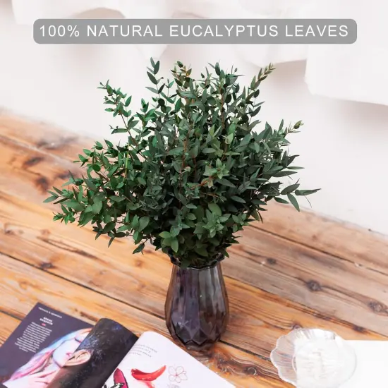 Large Dried Eucalyptus Stems - Real Preserved Fresh Eucalyptus Plant for Arrangement {3}
