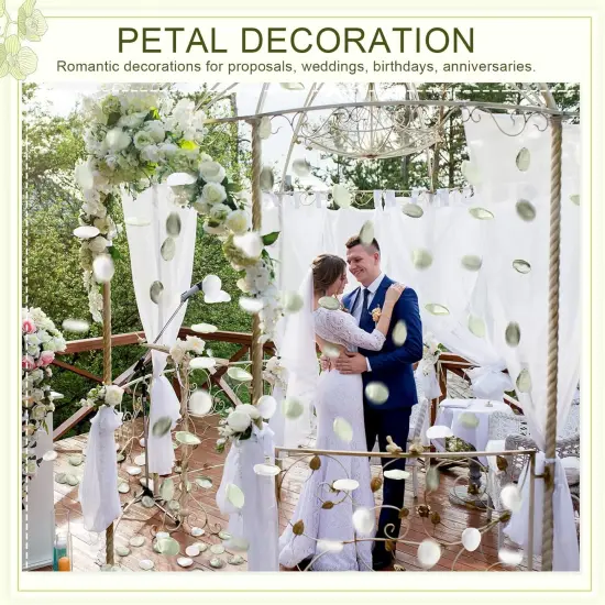 600 Pcs Silk Rose Petals Artificial Flower Petals for Wedding Flower Girl Basket Aisle Scatter Dinner Table Centerpieces Party Bridal Shower Romantic Night Decoration {5}