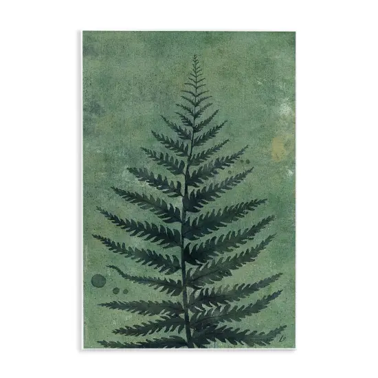 Stupell Industries Rustic Fern Impression Wall Plaque Art Design by Lydia Orange {1}