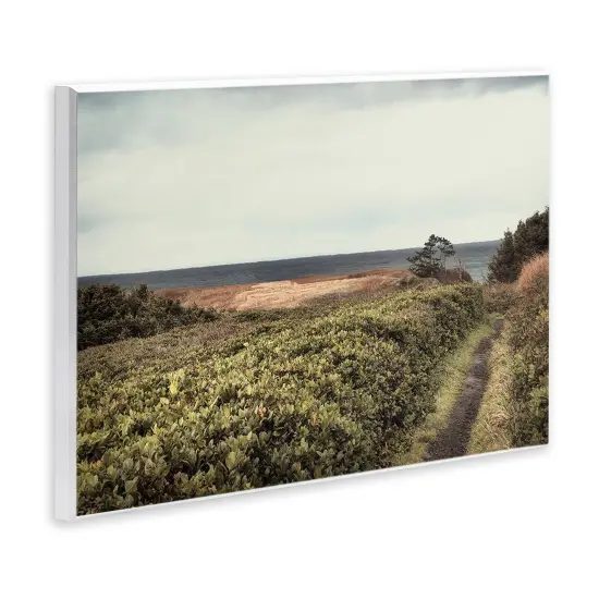 Stupell Industries Serene Coastal Pathway Wall Plaque Art Design by Andy Amos {3}