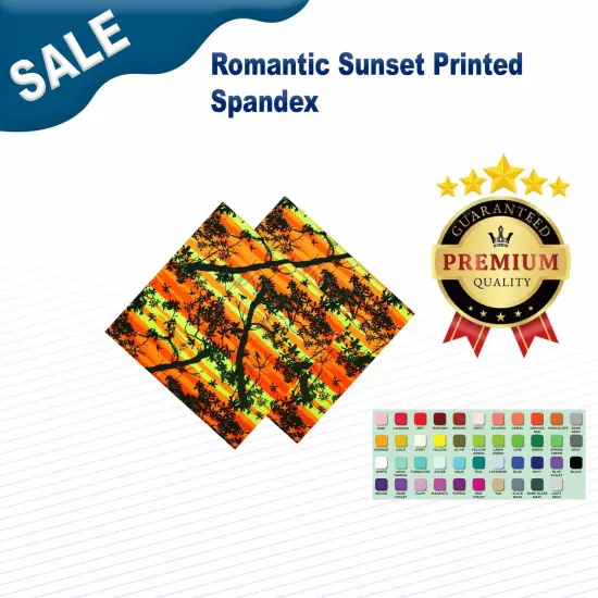 Romantic Sunset Printed Spandex {1}