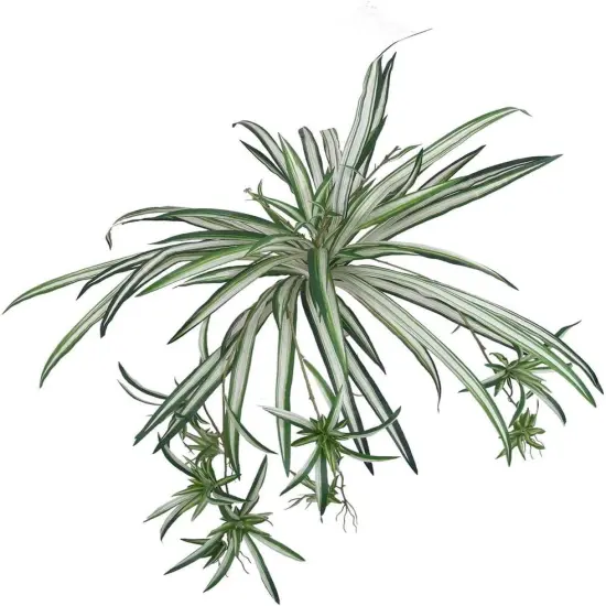 4-Pack: Spider Fern Plant with 60 Silk Fronds, 32" Wide, Faux Greenery by Floral Home&reg; {1}