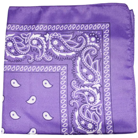 Paisley 100% Polyester Unisex Bandanas - 180 Pack - Bulk Wholesale {1}