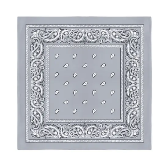 12-Pack Paisley 100% Cotton Double Sided Bandanas {1}