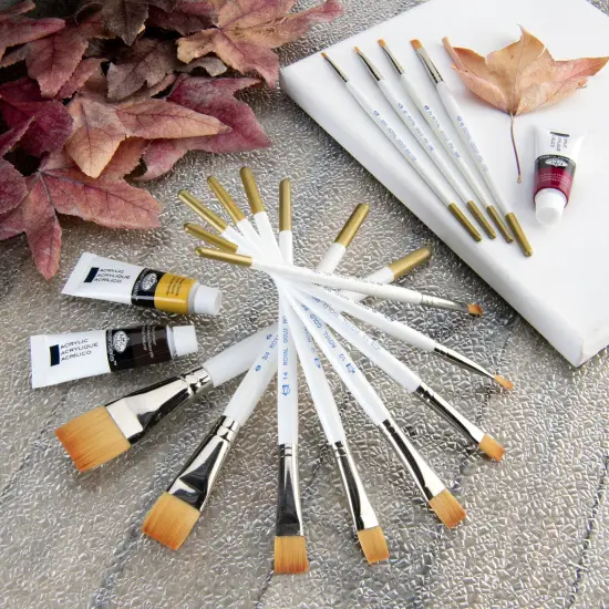 RSET-GTS | Royal Gold&trade; 12pc Shader/Wash Brush Set {5}