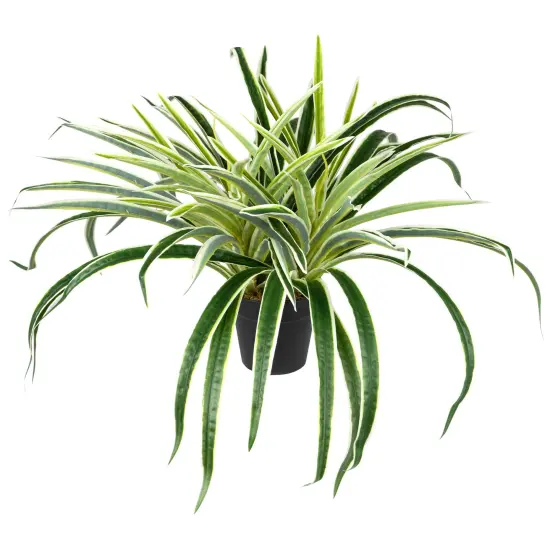 Northlight Artificial Two Toned Potted Spider Plant - 13" Green {3}