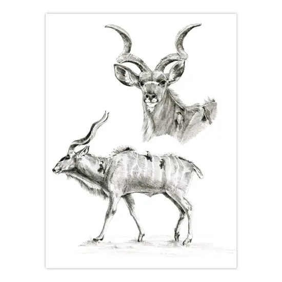 SKB-1 | Sketching Made Easy&trade; African Safari Art Activity Book {6}