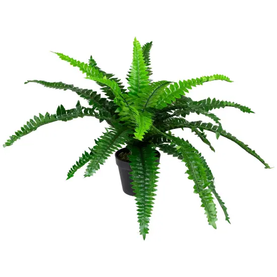 Northlight Potted Artificial Green Boston Fern Plant - 17.5" {5}