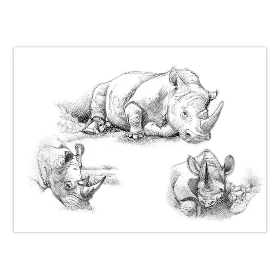 SKBNL3 | Sketching Made Easy™ Rhinos 10pc 11.25" x 15.375" Sketching Art Project {2}