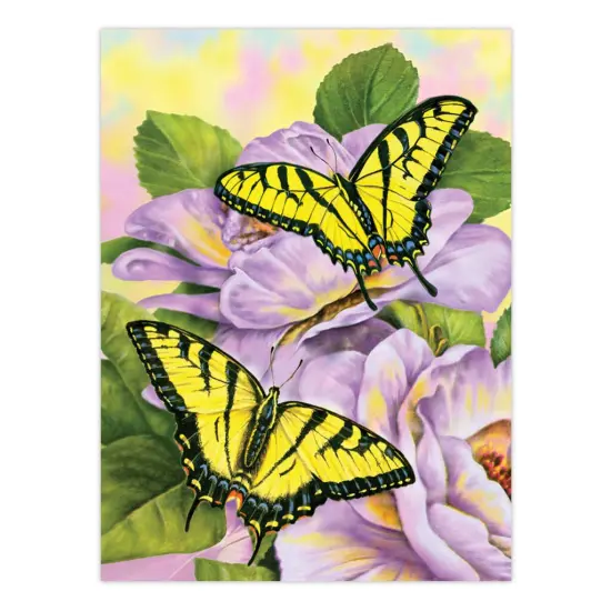 AVS-PBN210 | Painting by numbers™ 30pc 8" x 10" Fields 4 Project Box Set {3}