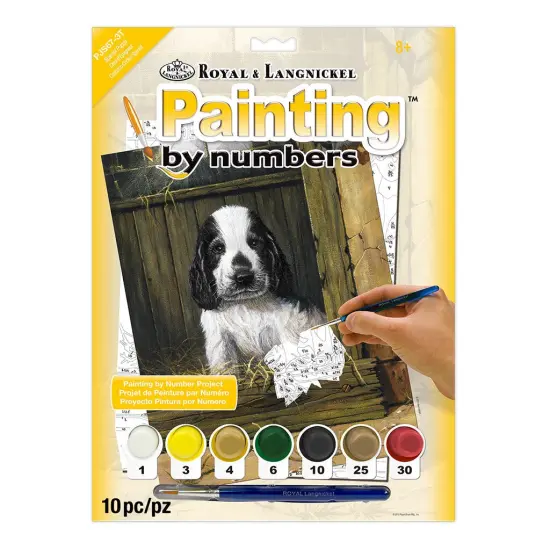 PJS67 | Painting by numbers™ 10pc 8.75" x 11.375" Spaniel Puppy Painting Project {1}