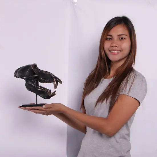 Monkey Baboon Skull Life Size Statue {2}