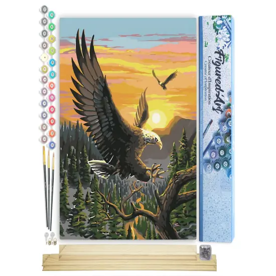 Figured'Art Paint by Numbers Kit for Adults Eagle at Sunrise 16"x20" - Craft Art Painting Rolled Canvas with DIY wooden frame {1}