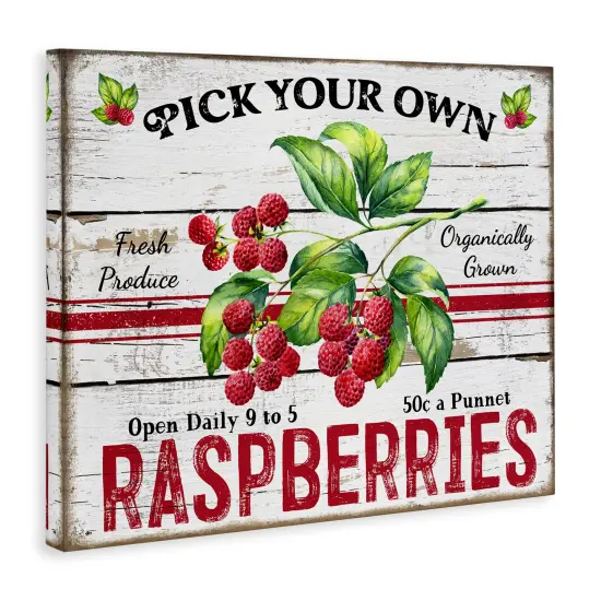 Stupell Industries Pick Your Own Raspberries Canvas Wall Art Design by Creatif Belle {3}