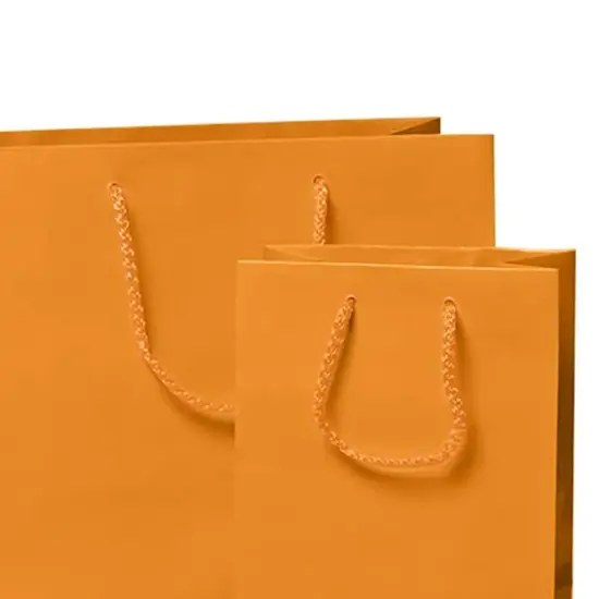 8'' x 4'' x 10'' Glossy Paper Totes Perfect for Jewelry Packaging Tangerine {4}