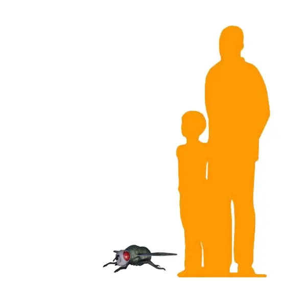 Fly Insect Over Sized Statue {3}