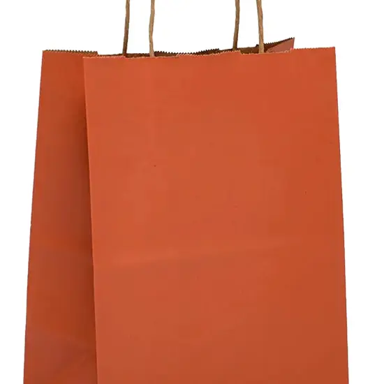 Tinted Kraft Shopping Bag Compact & Durable 5.5" x 3.25" x 8.375" {4}