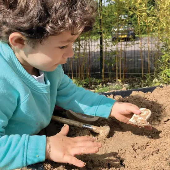 Yellow Door Dig & Discover Dinosaur Tactile Skeletons - Set of 6 {5}