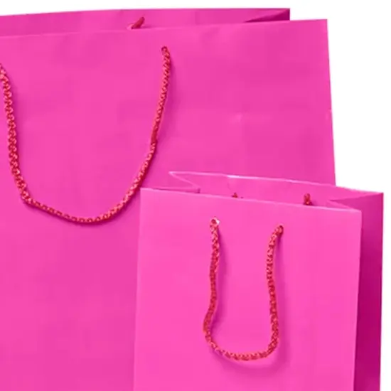 Vibrant Glossy Euro Totes 8'' x 4'' x 10'' for Boutique Events Shocking Pink {6}
