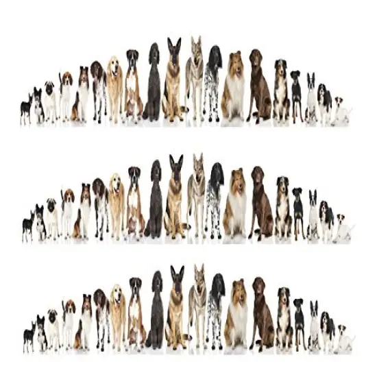 Dogs Collage Cake Border Edible Icing Image 3 Strips {1}