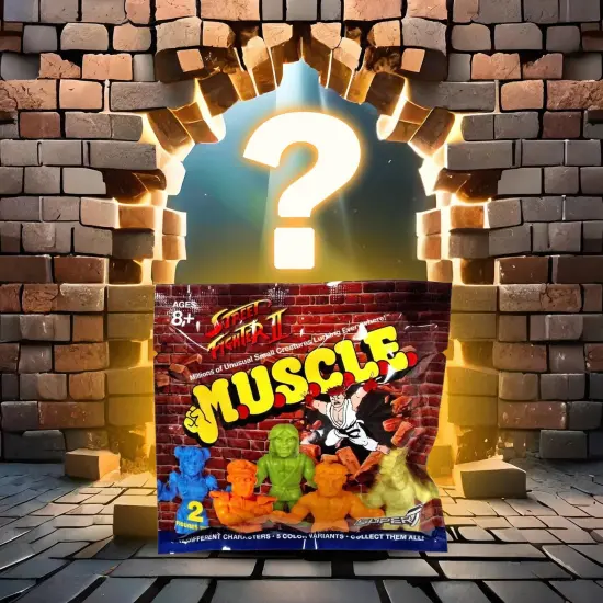 Street Fighter II M.U.S.C.L.E. Mini-Figure Wave 1 | Random 2-Pack {3}
