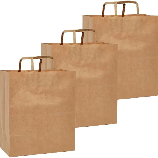Flat Handle Kraft Grocery Bags 12" x 7" x 17" Multi Purpose {1}