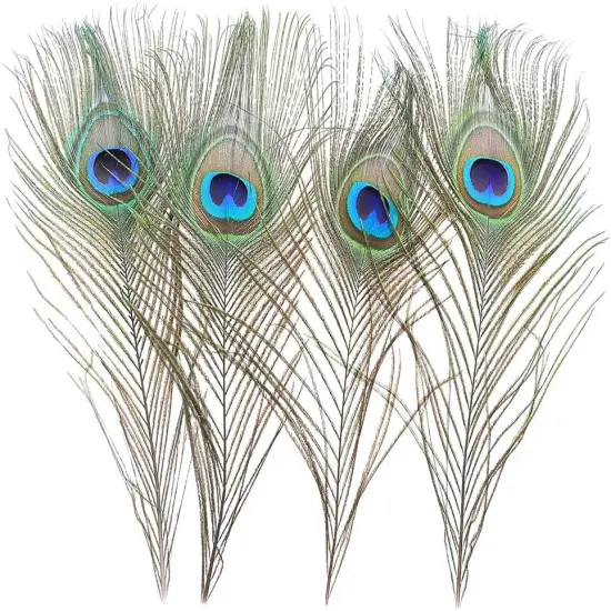 120 PCS Real Natural Peacock Eye Feathers {4}