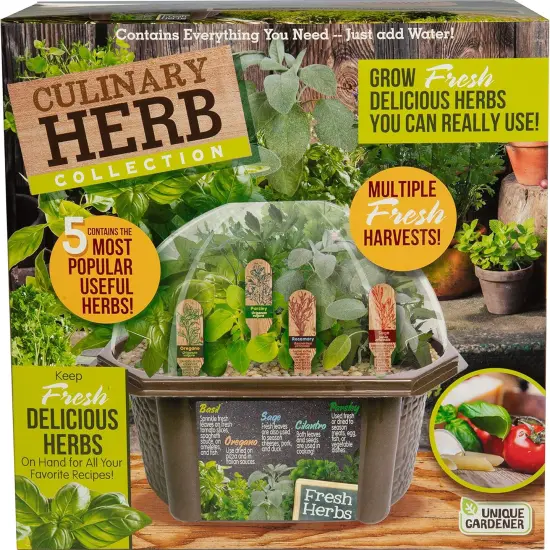 Unique Gardener: Culinary Herb Collection - DIY Biosphere Terrarium Starter Kit, Grow 5 Different Delicious Herb Plants, Kitchen Window Indoor Garden {1}