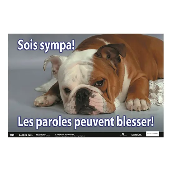Poster Pals French Educational and Language Teaching Fun Photo Posters,Bilingual Charts, Classroom Decorations, FSL, 4 Poster Set {6}
