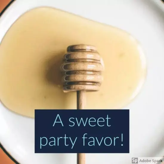 Kitcheniva 15 Pcs 4" Wooden Mini Honey Dippers Party Favor Crafts Decor {5}