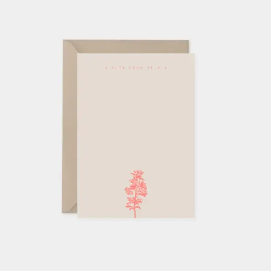 Apple Blossom Botanical Note Cards II {1}