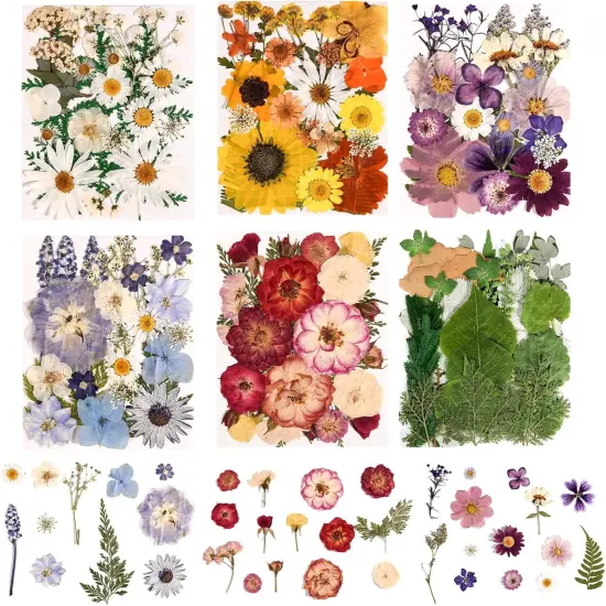 6 Pack 150PCS Real Pressed Dried Flowers Dry Leaves - Colorful {1}