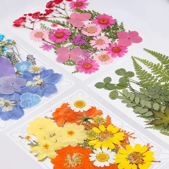 100 Pcs Dried Pressed Flowers - COLORFUL A {2}