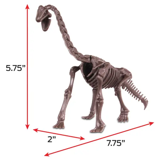 WowWorld: Dino Dig - Brachiosaurus - All-In-One Dinosaur Skeleton Excavation Kit, Tools & Construction Figurine, Educational Science Toy, Kids Ages 6+ {7}