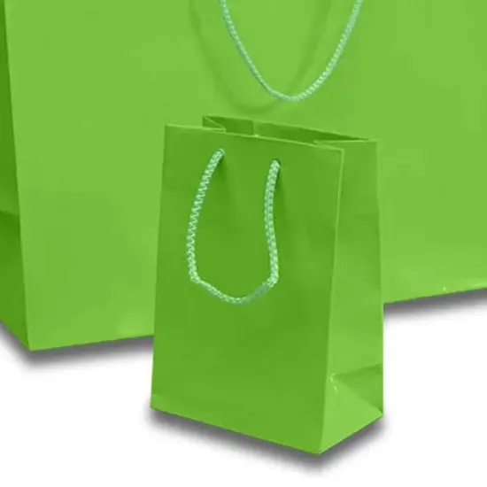 Elegant and Compact Gift Bags Glossy Totes 4 3/4'' x 2 3/4'' x 6 3/4'' Lime {5}