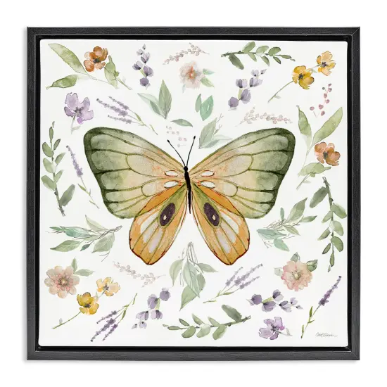 Stupell Industries Cottage Butterfly Botanicals Framed Floater Canvas Wall Art Design by Carol Robinson {7}