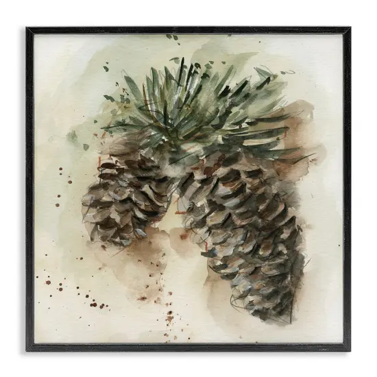 Stupell Industries Pine Cone Watercolor Framed Giclee Wall Art Design by Ethan Harper {7}