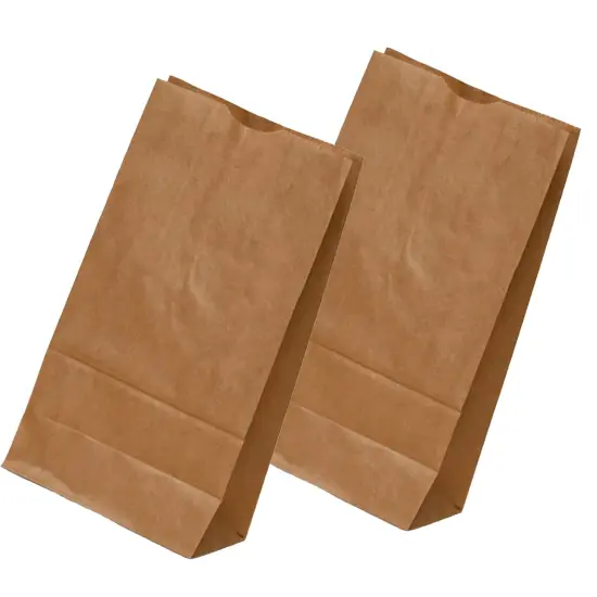 Small Kraft Grocery Bags 5'' x 3 1/8'' x 9 3/4'' {3}