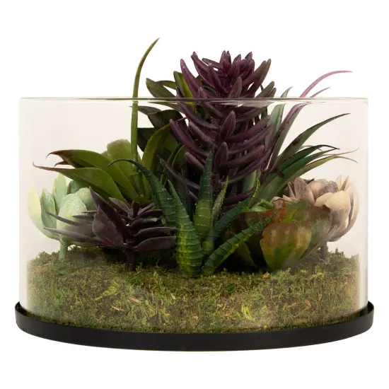 Northlight Mixed Succulent Artificial Arrangement in Round Glass Jar - 8" Green {5}