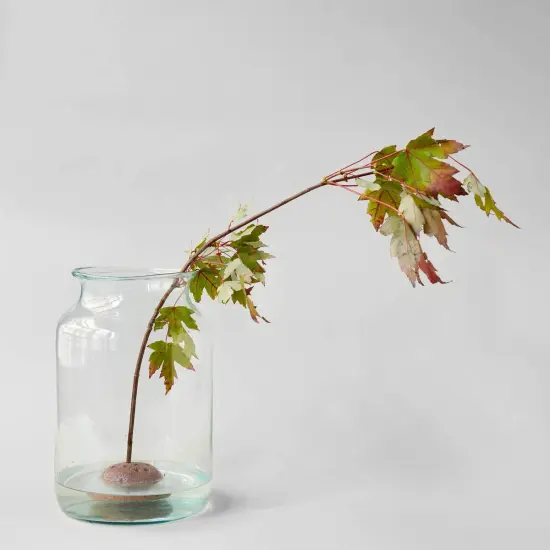 Round Stone Frog by Bloomist {2}