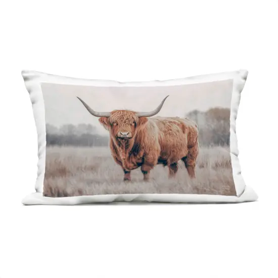 Stupell Industries Center Of Attention Cattle Outdoor Pillow, 14 x 7 x 20 {1}