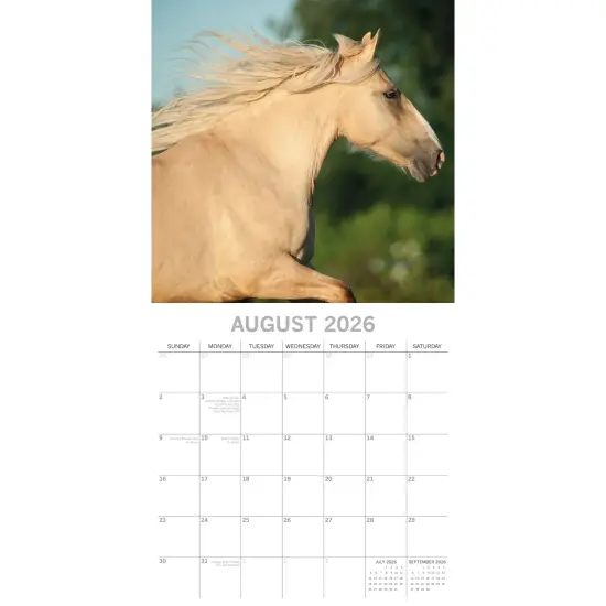 The Gifted Stationary 2026 Square Wall Calendar, Horses, 16-Month Animals Theme Hanging Calendar with 180 Reminder Stickers, Month Planner for Home, or Creative Spaces, 12x12 In Multicolor {3}