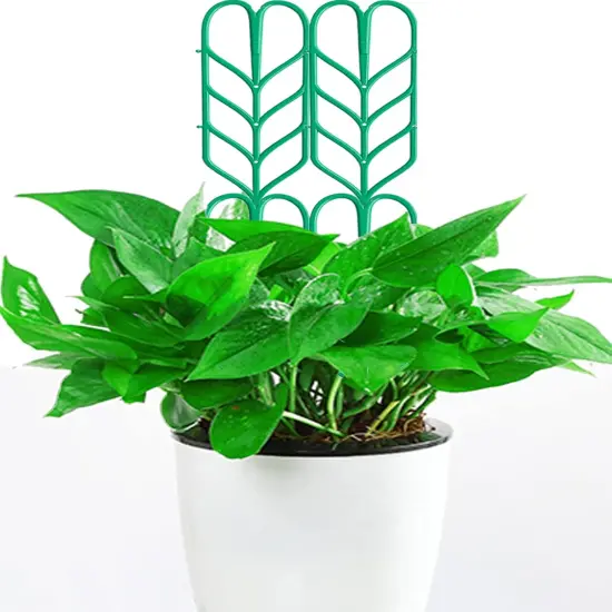 Garden Trellis for Climbing Plants {2}