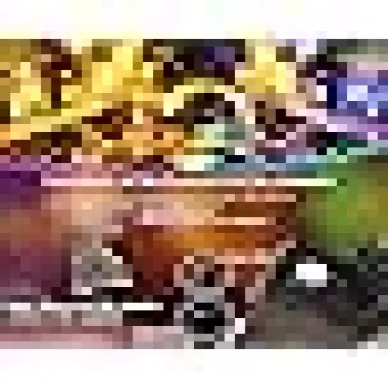 Waterproof for Christmas Decoration {4}