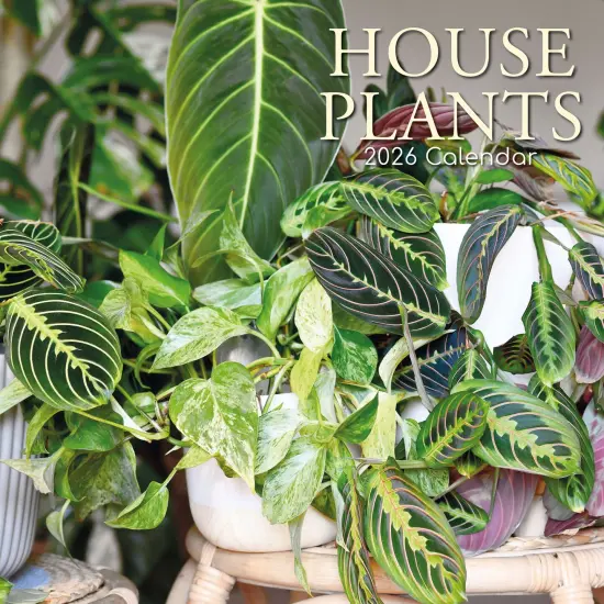 The Gifted Stationary 2026 Square Wall Calendar, House Plants, 16-Month Floral Theme Hanging Calendar with 180 Reminder Stickers, Month Planner for Creative Spaces, 12x12 In Multicolor {1}