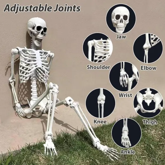 Life Size Halloween Skeleton Decor - 5.4Ft/165cm {4}